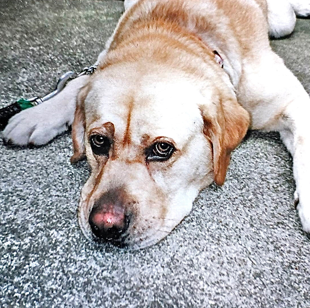 木にレーザープリントしよう！　オリジナルグッズ　　TV ヒルナンデスでも紹介